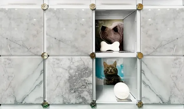 Imagen de columbario de mascotas